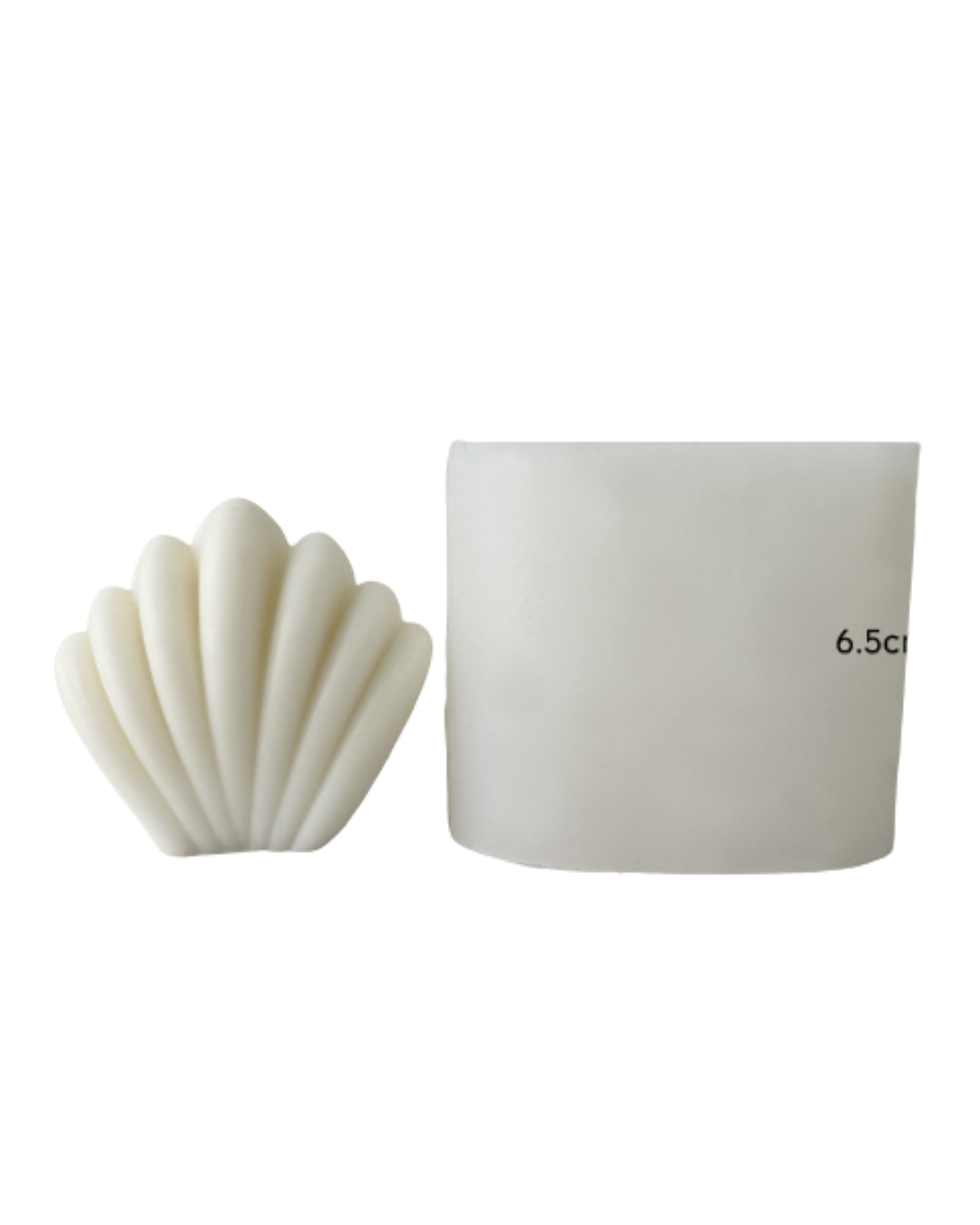 Concha J-0259