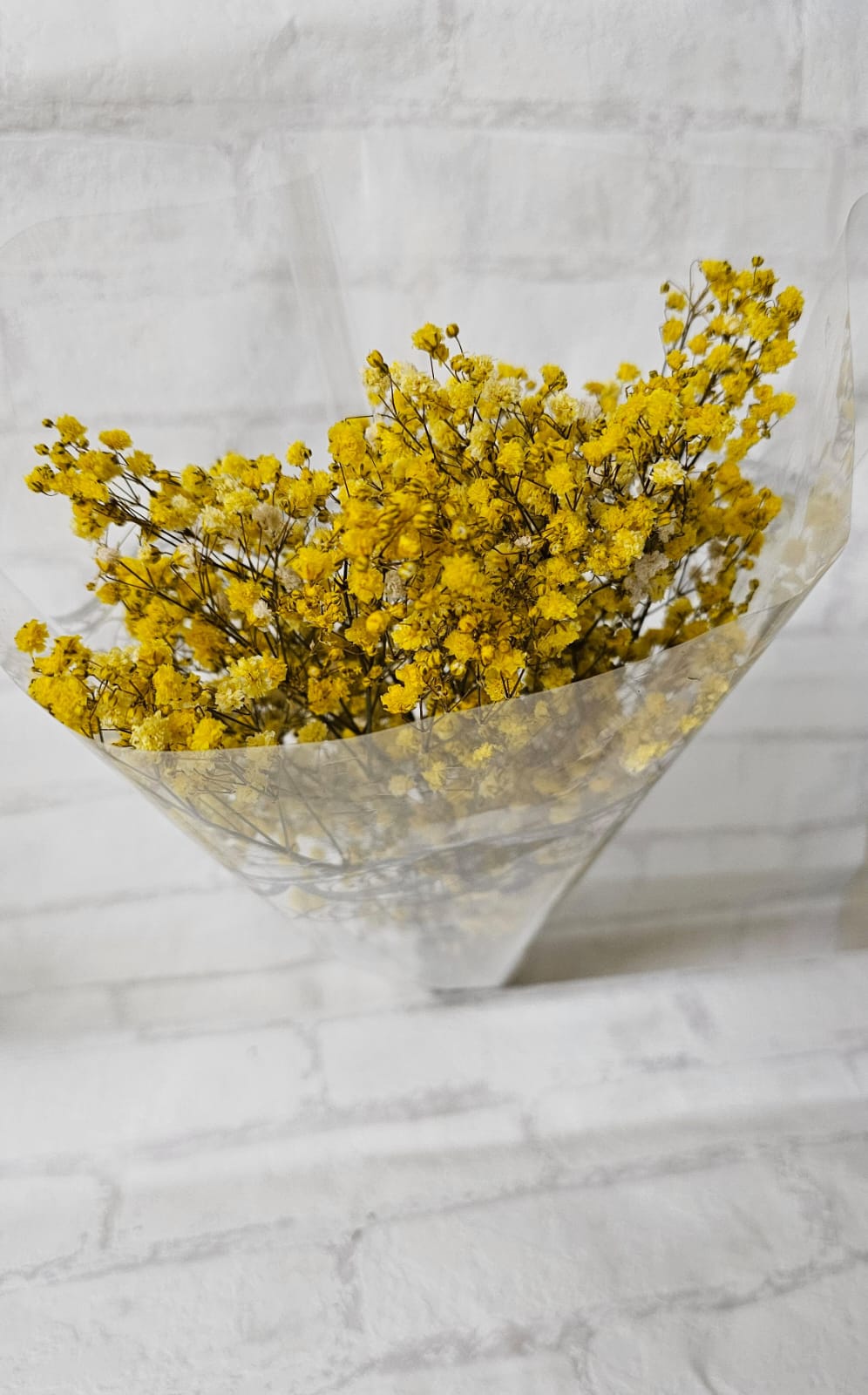 Flores Secas