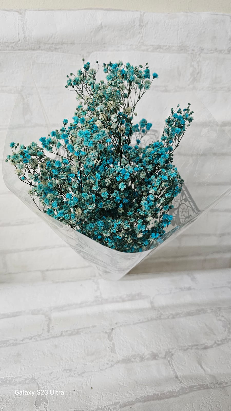Flores Secas