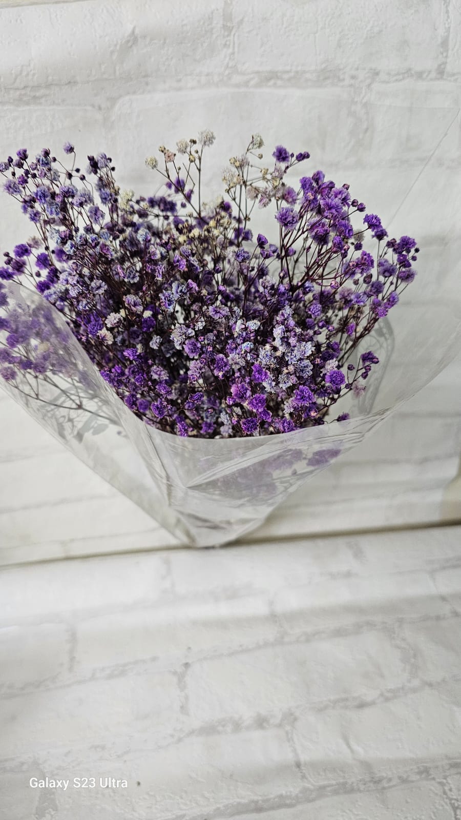 Flores Secas