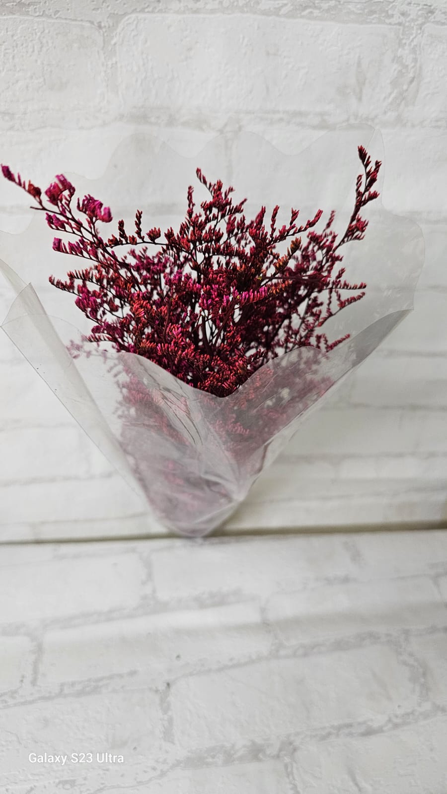 Flores Secas