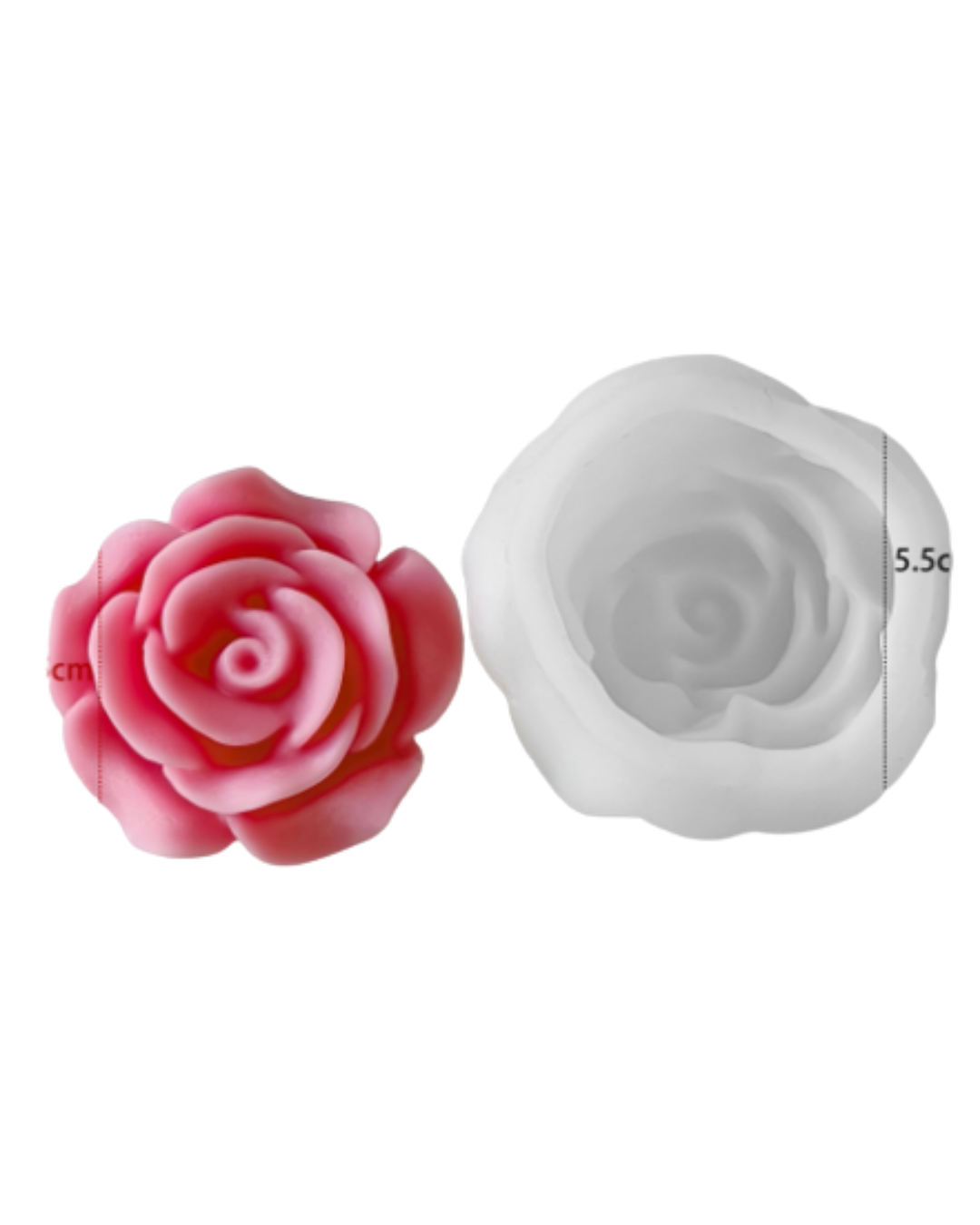 Rosa J-0531-1M