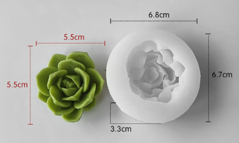 Suculenta H-0825