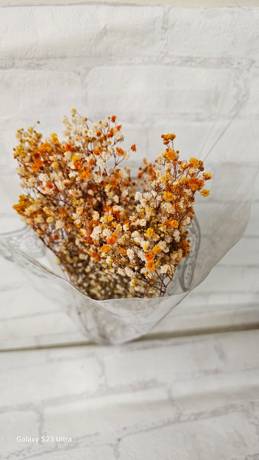 Flores Secas