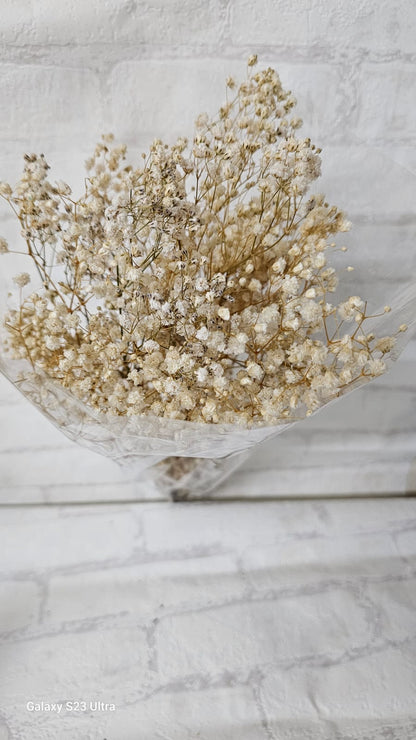 Flores Secas
