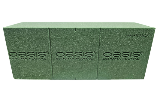Oasis